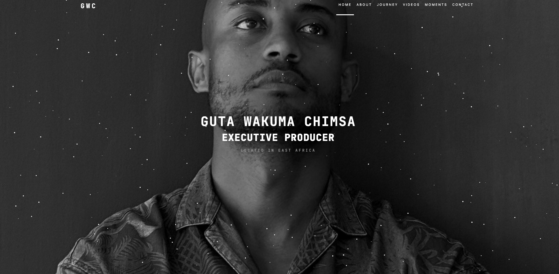 Executive Portfolio Sites